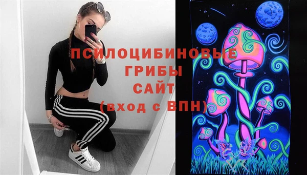 бошки Богородск