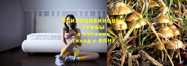 бошки Богородск
