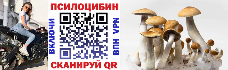 Псилоцибиновые грибы MAGIC MUSHROOMS  Верхний Тагил 